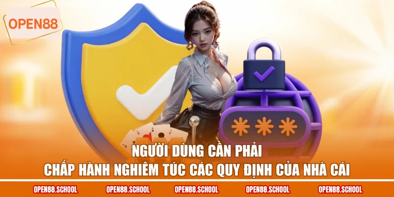 Người dùng cần phải chấp hành nghiêm túc các quy định của nhà cái