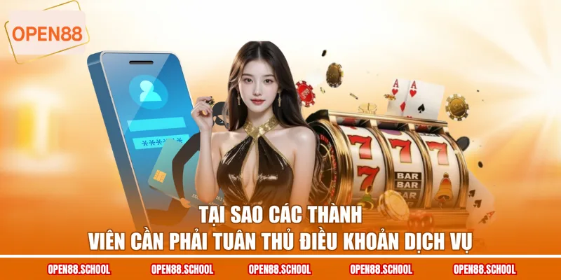 Tại sao các thành viên cần phải tuân thủ điều khoản dịch vụ