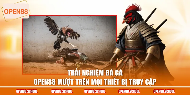 Trải nghiệm đá gà OPEN88 mượt trên mọi thiết bị truy cập